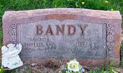 Andreea Y. <I>Beckett</I> Bandy 