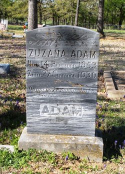 Zuzana “Susie” <I>Krizan</I> Adam 