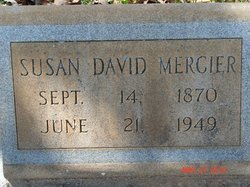 Susan E <I>David</I> Mercier 