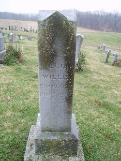 William Willis 