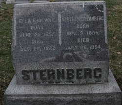 Albert E. Sternberg 