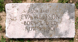 Eva Allison 