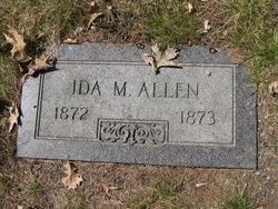 Ida M. Allen 