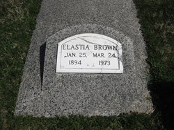 Elastia <I>McClung</I> Brown 