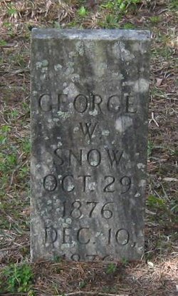 George W Snow 