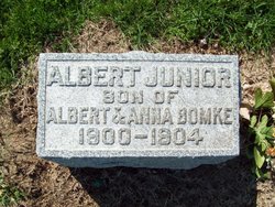 Albert S Bomke Jr.