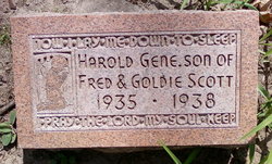 Harold Gene Scott 