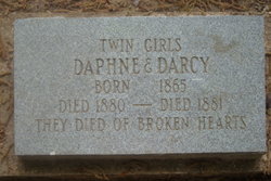 Daphne Unknown 
