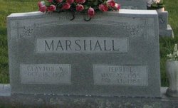 Terri Lynn <I>Pickett</I> Marshall 