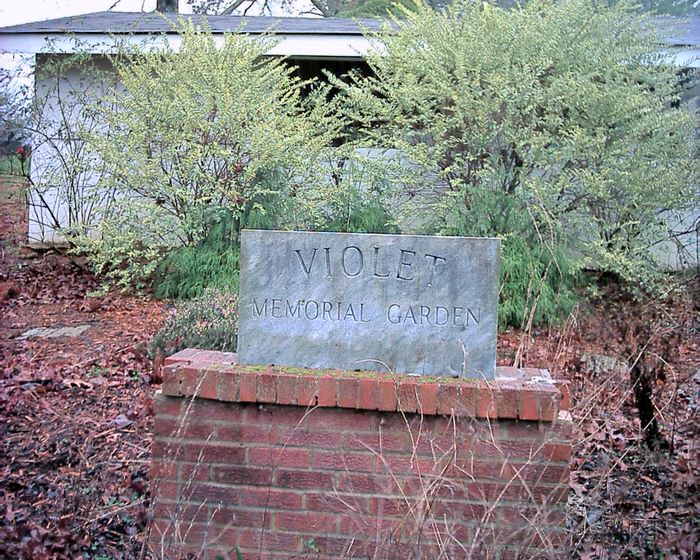 Violet Baptist Church Cemetery