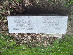 George Augustus Amadon 