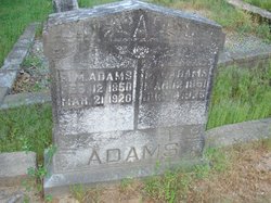 Francis Marion Adams 