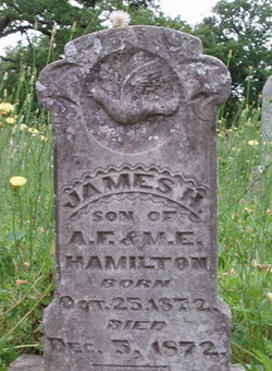 James H. Hamilton 