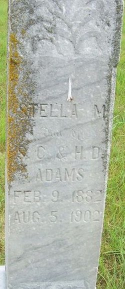 Stella M Adams 