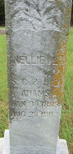 Nellie L. Adams 