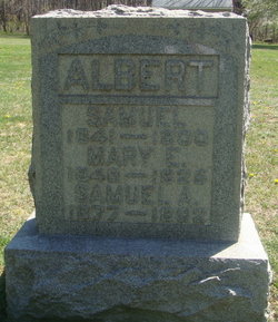Samuel A Albert 