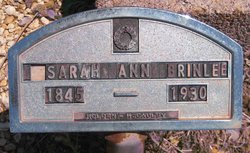 Sarah Ann <I>Hendricks</I> Brinlee 
