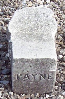 Payne 