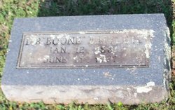 Daniel Boone Bartlett 