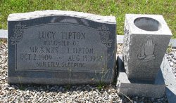 Lucy Tipton 