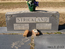 Mamie Cinderella <I>Strickland</I> Strickland 
