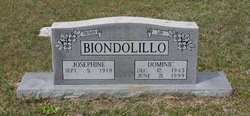 Dominic Ronald Biondolillo Sr.