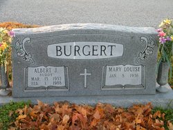 Albert J. “Buddy” Burgert Jr.