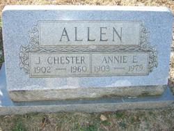 Annie Ellen <I>Hackett</I> Allen 