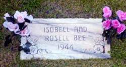 Isobell Bee 