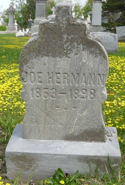 Joe Herrmann 