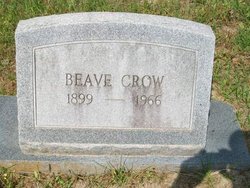 Beave Crow 