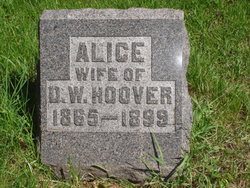 Alice <I>Morgan</I> Hoover 