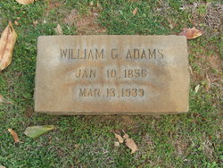 William Graham Adams 