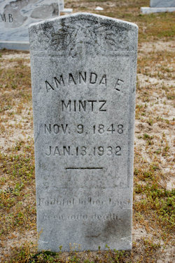 Amanda Elizabeth Mintz 