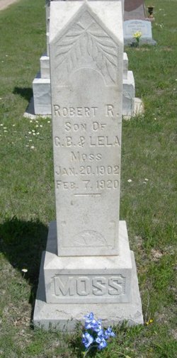 Robert R Moss 