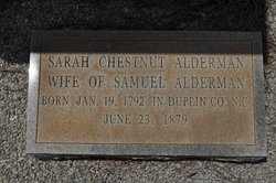 Sarah <I>Chestnut</I> Alderman 