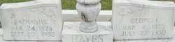 Nathaniel J. Hayes 