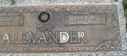 Lucy Margaret <I>Wilcox</I> Alexander 