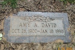 Amy A. <I>Wyatt</I> David 
