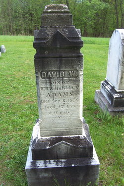 David W. Adams 