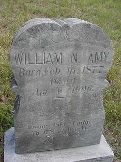 William Nelson Amy 