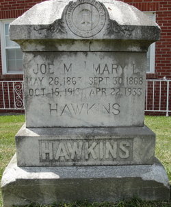 Mary Louvenia <I>King</I> Hawkins 