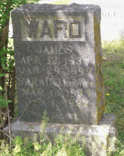 Mrs Sarah Jane <I>Benton</I> Ward 