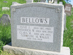 Frederick W Bellows 