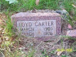 William Loyd Carter 