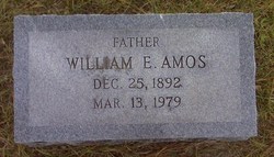 William Edmund Amos 