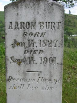 Aaron Burt 