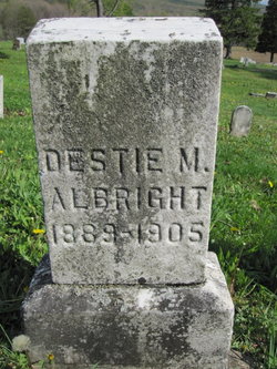 Destie M Albright 