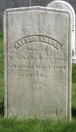 Alfred Adams 
