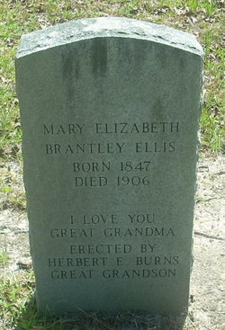 Mary Elizabeth “Lizzie” <I>Brantley</I> Ellis 